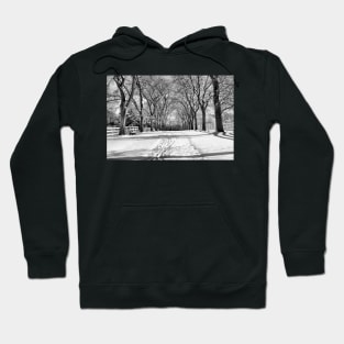 Winter Grandeur Hoodie